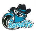 Bandits logo (2015-current)
